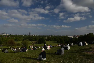 DSC_5951 (Large).JPG